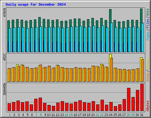 Daily usage for December 2024