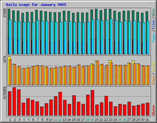 Daily usage for January 2025
