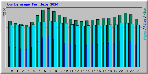 Hourly usage for July 2024