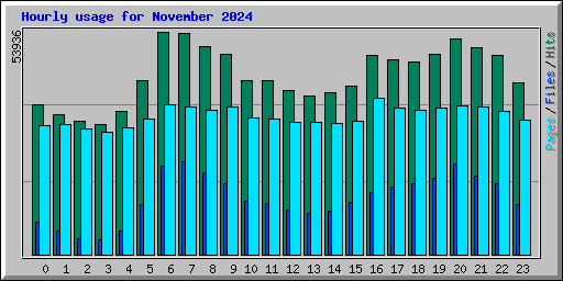 Hourly usage for November 2024