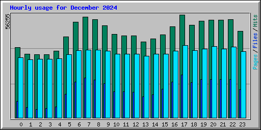 Hourly usage for December 2024
