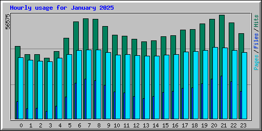 Hourly usage for January 2025