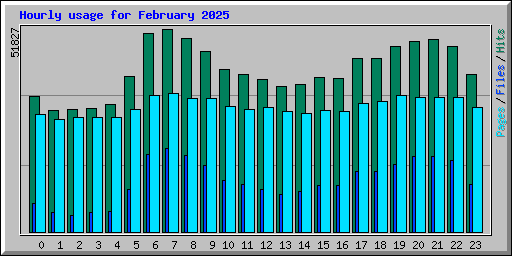 Hourly usage for February 2025