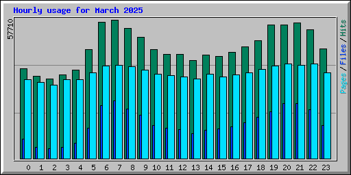 Hourly usage for March 2025