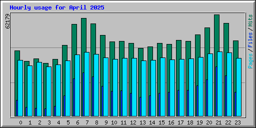 Hourly usage for April 2025