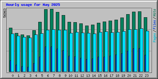 Hourly usage for May 2025