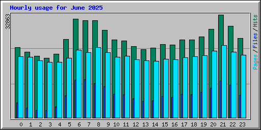 Hourly usage for June 2025